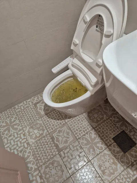 물이 가득 찬 채 막혀 있는 변기